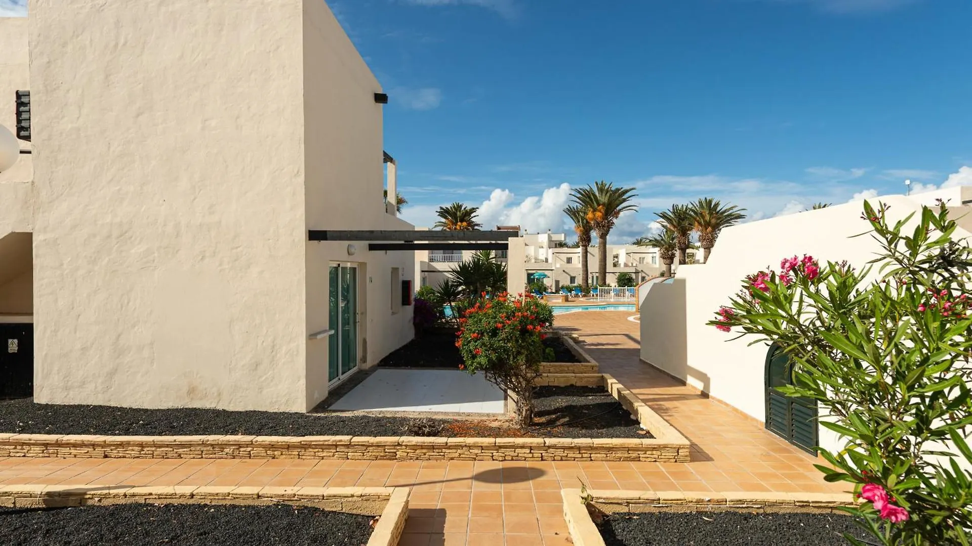 Apartamentos Alisios Con Terraza Y Piscina 코라레호 0*,